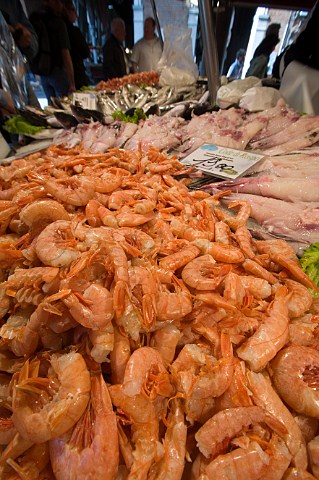 Prawns on sale at the Pescheria Rialto fish market San Polo Venice Italy