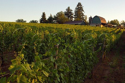 Beran Winery barn and Pinot Noir vineyard  Hillsboro Oregon USA  Willamette Valley