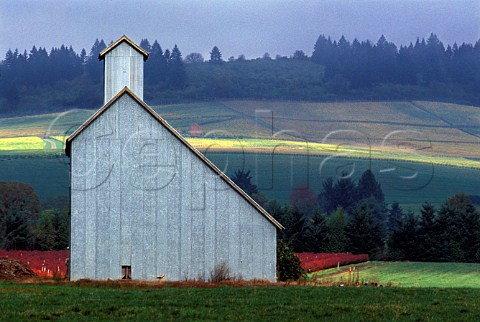 Barn in vineyard of Stoller  Dundee Oregon USA  Willamette Valley
