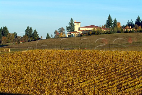 Vineyard below Domaine Serene winery  Dayton Oregon USA  Willamette Valley