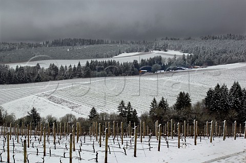 Erath Vineyards winery surrounded by Knudsen Vineyards in snow viewed from Maresh Red Hills vineyard Near Dundee Yamhill Co Oregon Willamette Valley