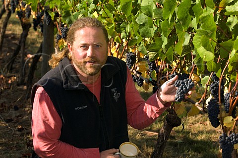 Winemaker Adam Campbell in vineyard of Elk Cove  Gaston Oregon USA  Willamette Valley