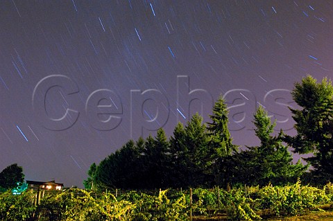 Star trails over Tannehill vineyard  Sherwood Oregon USA  Willamette Valley