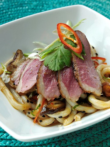 Seared duck breast on a hoi sin and udon noodle salad