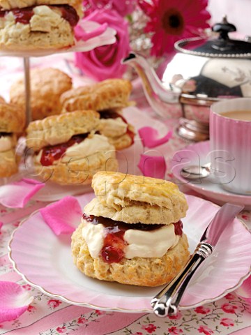 Scones with jam and clotted cream with tea set