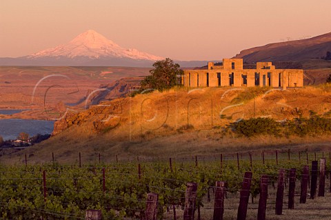 Stonehenge replica and Gunkel Orchards vineyard above the Columbia River with the snowcapped Mount Hood in distance  Maryhill Washington USA Columbia Gorge