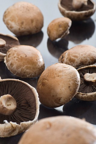 Organic chestnut mushrooms