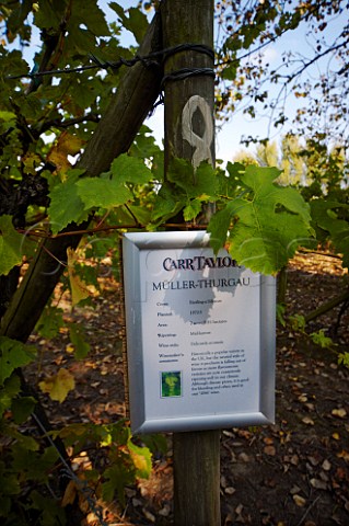 Information board on strainer post in MllerThurgau vineyard of Carr Taylor    Westfield near Hastings Sussex England