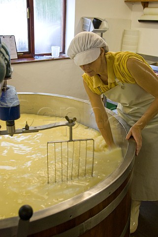 Vat of curds and whey at the Monkland Cheese Dairy near Leominster Herefordshire England