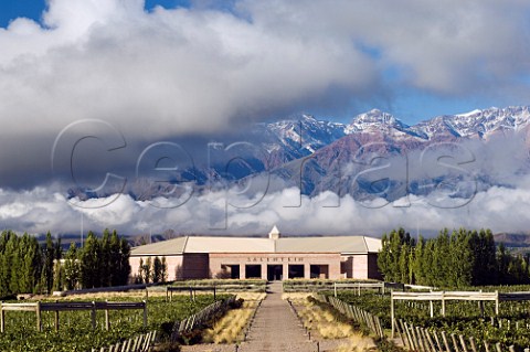 Salentein winery and vineyard with snowcapped Andes mountains beyond   Tunuyan Mendoza Argentina  Uco Valley