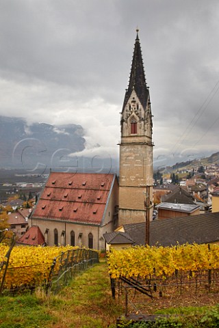 Gewrztraminer vineyard of J Hofsttter above their winery and church of St Quirikus and Julitta in Termeno Alto Adige Italy    Alto Adige  Sdtirol
