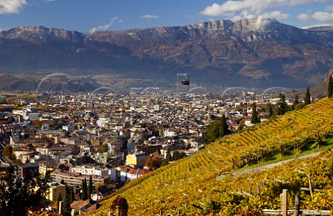 Cable car ascending to Soprabolzano over the vineyards on the steep hillside above Bolzano Alto Adige Italy  Santa Maddalena Classico DOC