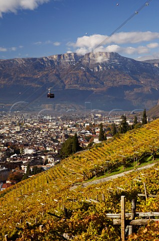 Cable car ascending to Soprabolzano over the vineyards on the steep hillside above Bolzano Alto Adige Italy  Santa Maddalena Classico DOC