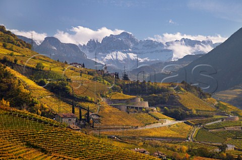 Schwarhof vineyards of Loacker around the church of Santa Giustina view up the Isarco Valley over vineyards in the Santa Maddalena Classico zone on the outskirts of Bolzano with the Dolomites in the distance    Alto Adige Italy   Santa Maddalena Classico
