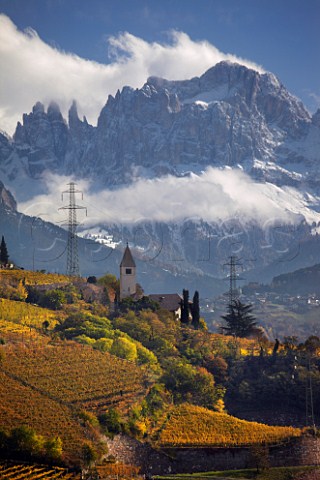 Schwarhof vineyards of Loacker around the church of Santa Giustina view up the Isarco Valley over vineyards in the Santa Maddalena Classico zone on the outskirts of Bolzano with the Dolomites in the distance  Alto Adige Italy   Santa Maddalena Classico
