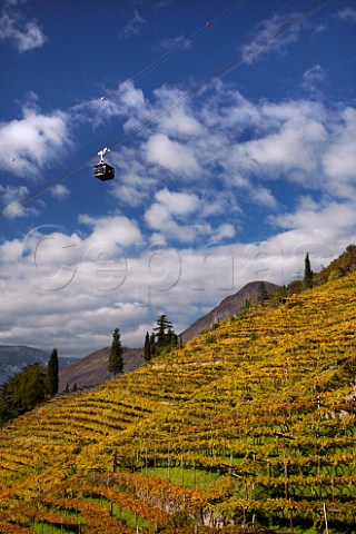 Cable car ascending to Soprabolzano over the vineyards on the steep hillside above Bolzano Alto Adige Italy   Santa Maddalena Classico DOC