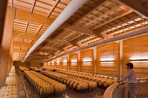 Barrel cellar at Almaviva winery a joint venture between Concha y Toro and Philippine de Rothschild Puente Alto Maipo Valley Chile  Maipo Valley