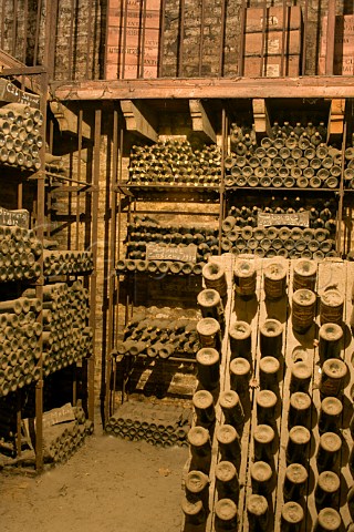 Old bottles in brick and limestone cellar at Cousio Macul Santiago Maipo Valley Chile  Maipo Valley