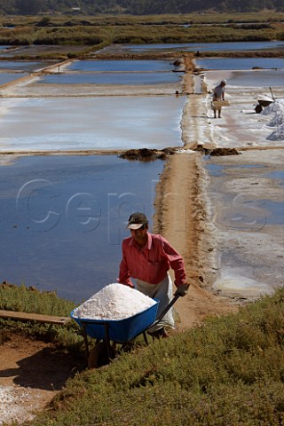 Men collecting salt from tidal salt pans   Cahuil Colchagua Chile