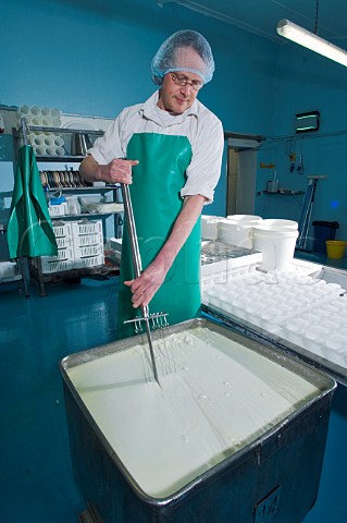 Goats Cheese maker splitting the curds and whey White Lake Cheese Bagborough Farm Somerset England