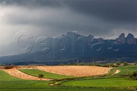 Storm clouds over the Peas Jembrez mountains with vineyard in foreground  La Rioja Spain  Rioja Alta