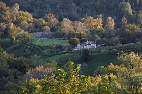 Vineyards in the hills near Rolle Veneto Italy   Prosecco di Conegliano Valdobbiadene