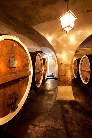 Barrel cellar of San Leonardo Borghetto allAdige Avio Trentino Italy