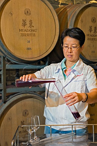 Winemaker Gloria Xia pouring juice into hydrometer flask in the barrel cellar at HuadongParry winery Qingdao Shandong Province China