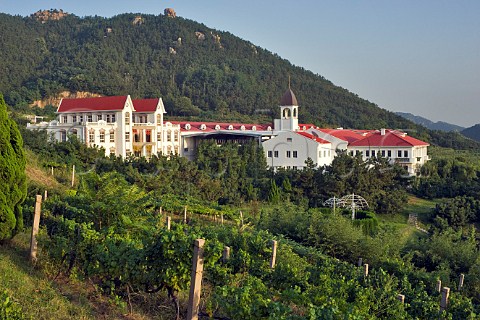 Chateau HuadongParry winery and vineyard Qingdao Shandong Province China