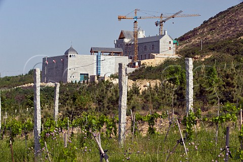 Treaty Port winery under construction Mulangou Village near Penglai Shandong Province China