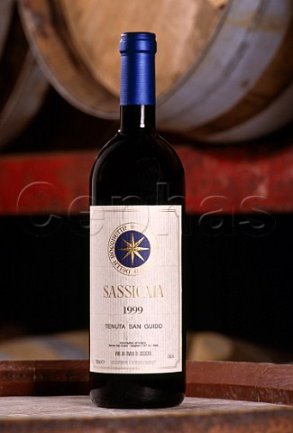 Bottle of Sassicaia 1999 in the barrel cellar at Tenuta San Guido Bolgheri Tuscany Italy