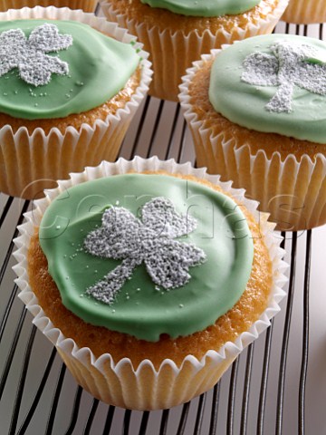 Cupcake with a white shamrock on top of the green icing