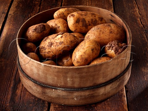 Sieve of new potatoes