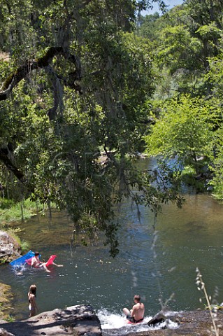 Children swimming in the Napa River by Yountville Cross Road Napa Valley California
