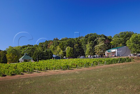 Veramar winery and Norton vineyard Berryville Virginia USA  Shenandoah Valley AVA