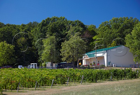 Veramar winery and Norton vineyard Berryville Virginia USA  Shenandoah Valley AVA