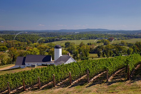 Winery of RdV Vineyards Delaplane Virginia USA
