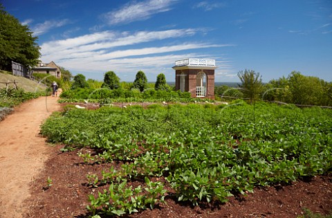 The restored Thomas Jefferson vegetable garden at Monticello Virginia USA