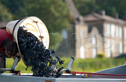 Hod carrier in vineyard of Chteau Lassgue StHippolyte Gironde France  Saintmilion  Bordeaux