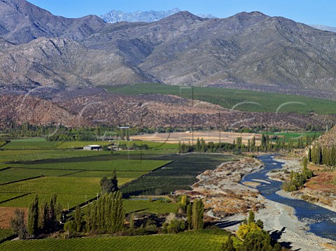 Vineyards of Via San Esteban by the Aconcagua River Chile  Aconcagua Valley