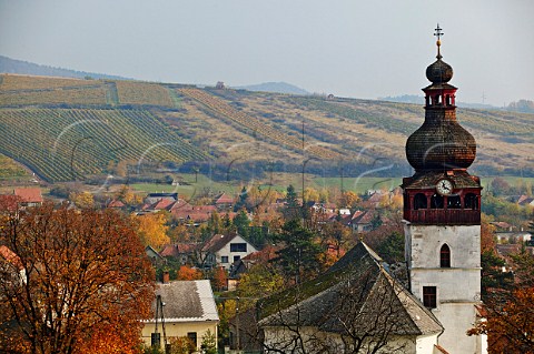 Village and vineyards of Tolcsva Hungary  Tokaj