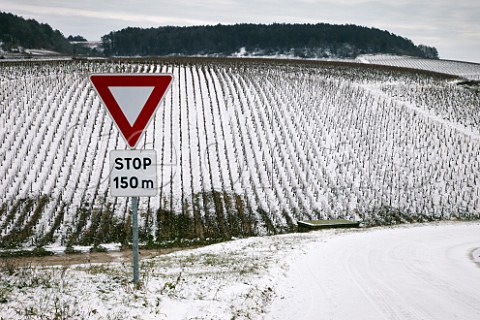 Stop sign by road with Grenouilles vineyard beyond  Chablis Yonne France Chablis Grand Cru