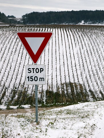 Stop sign by road with Grenouilles vineyard beyond  Chablis Yonne France Chablis Grand Cru