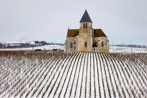 Vineyard of JeanMarc Brocard by the church at Prhy near Chablis Yonne France Chablis