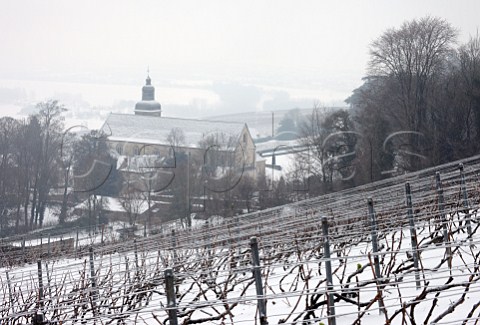 Vineyard above the Abbey of Hautvillers where Dom Prignon is buried   Near pernay Marne France  Champagne