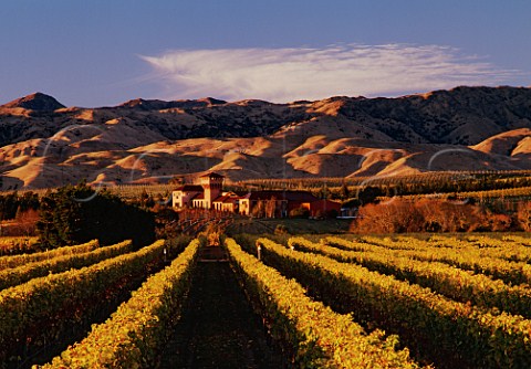 Highfield winery viewed from its autumnal vineyard   Marlborough New Zealand