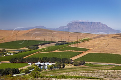 Nitida Cellars and vineyards with Table Mountain in distance   Durbanville Western Cape South Africa Durbanville