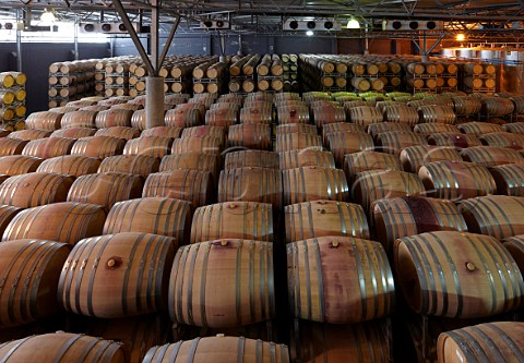 Airconditioned barrel cellar of Nederburg winery  Paarl Western Cape South Africa