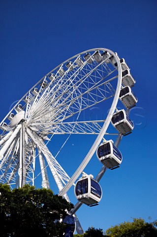 Wheel of Excellence on the VA Waterfront Cape Town Western Cape South Africa