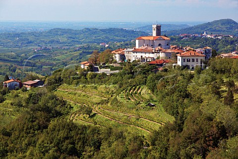 Village of Smartno surrounded by vineyards Brda Slovenia  Brda